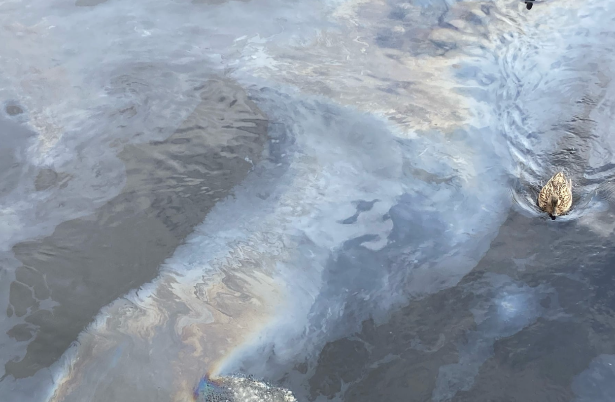 熒光法檢測(cè)水中石油類物質(zhì)的操作步驟